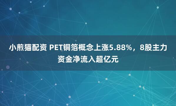 小煎猫配资 PET铜箔概念上涨5.88%，8股主力资金净流入超亿元