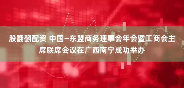 股翻翻配资 中国—东盟商务理事会年会暨工商会主席联席会议在广西南宁成功举办